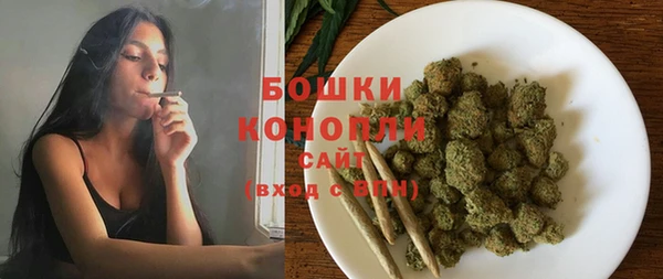 скорость Гусев
