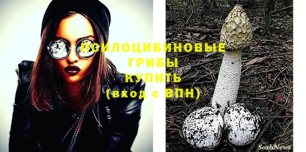 не бодяженный Гусиноозёрск