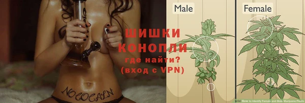не бодяженный Гусиноозёрск