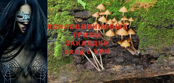 не бодяженный Гусиноозёрск
