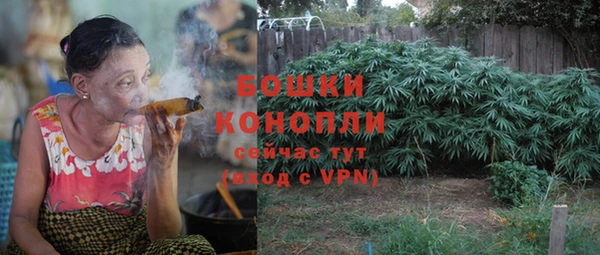 MESCALINE Гусь-Хрустальный
