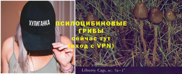 не бодяженный Гусиноозёрск